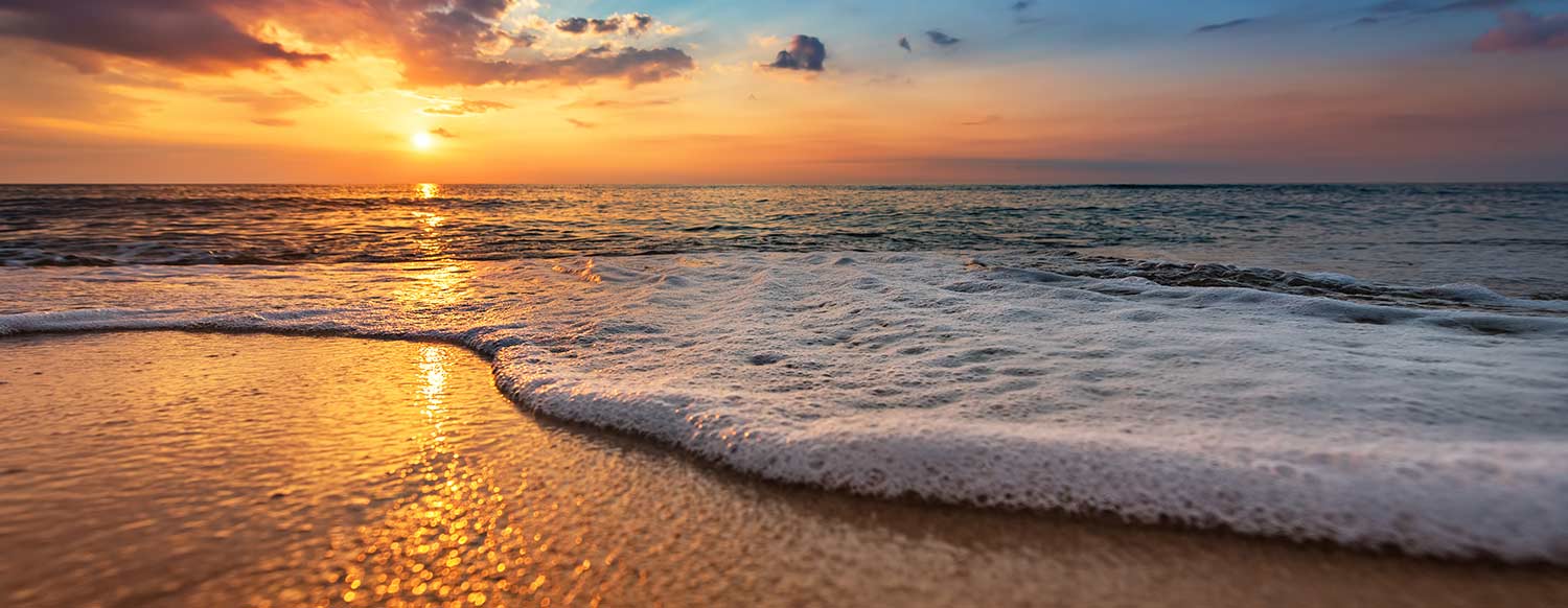 Fender Max internal foam structure and material detail